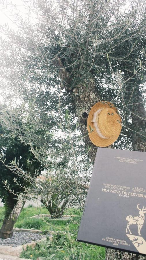 Refugio Da Gandra Villa Vila Nova de Cerveira Dış mekan fotoğraf